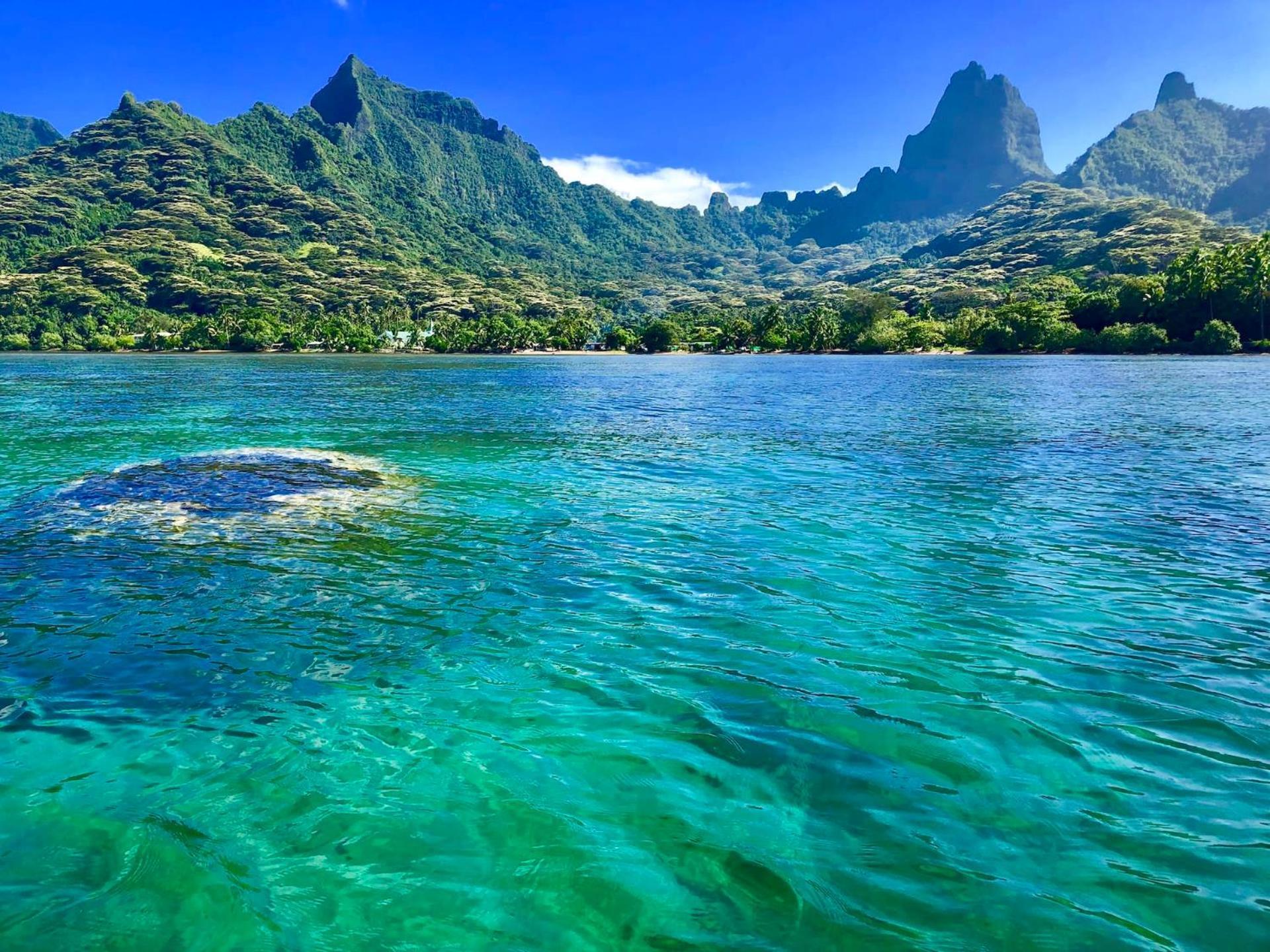Fare Oaoa Haapiti Aparthotel Moorea Exterior photo